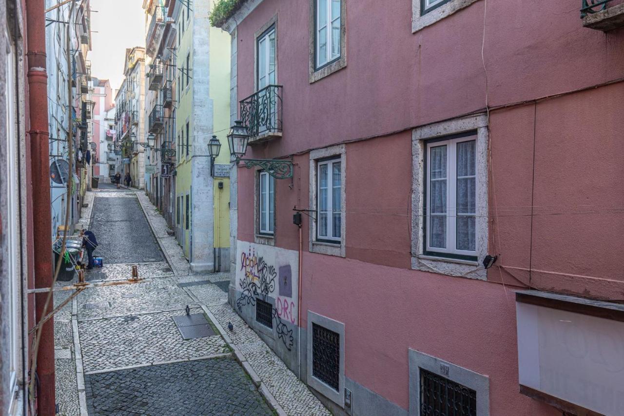 Amazing Camões - Chiado,