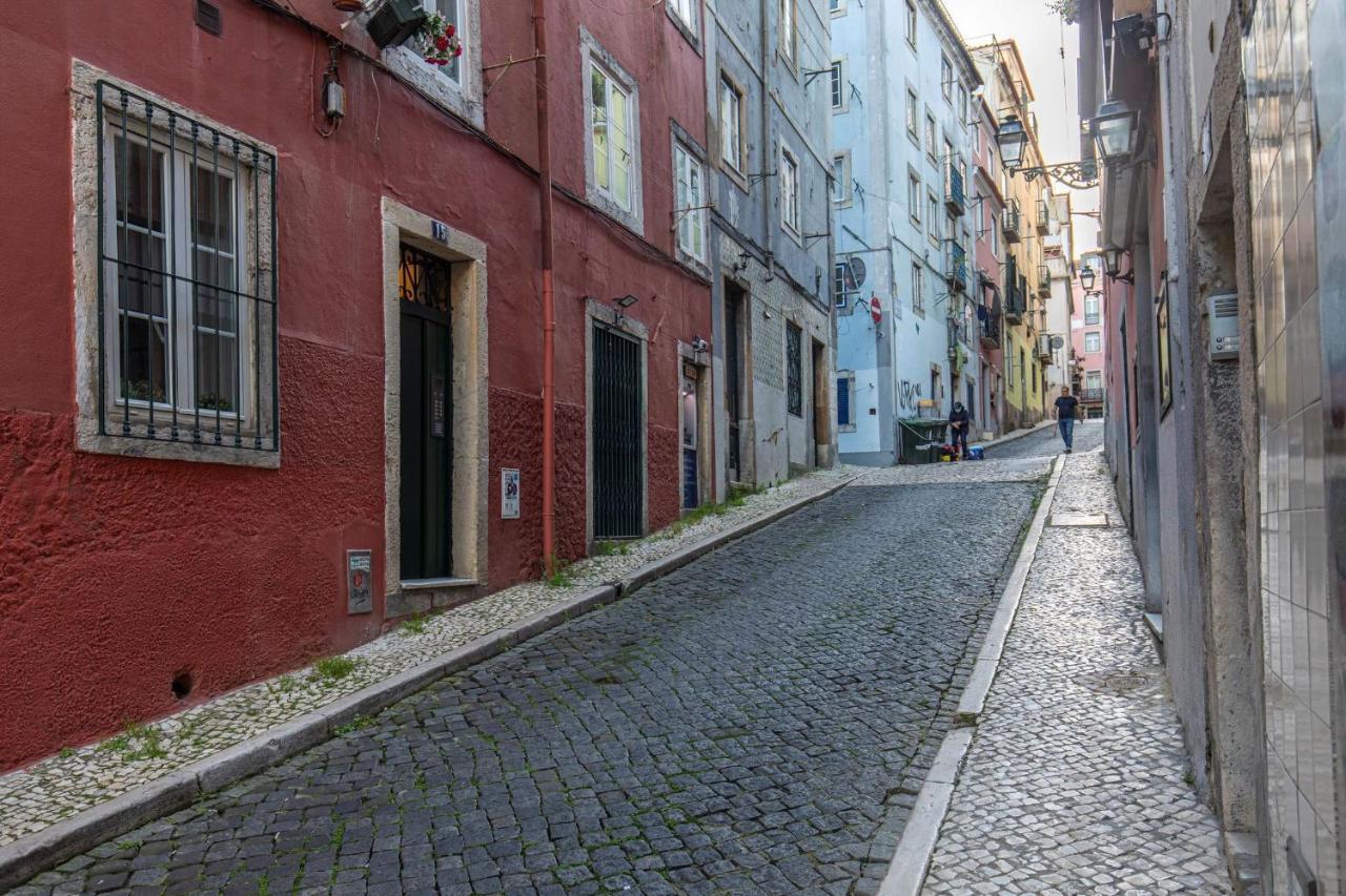 Amazing Camões - Chiado, *