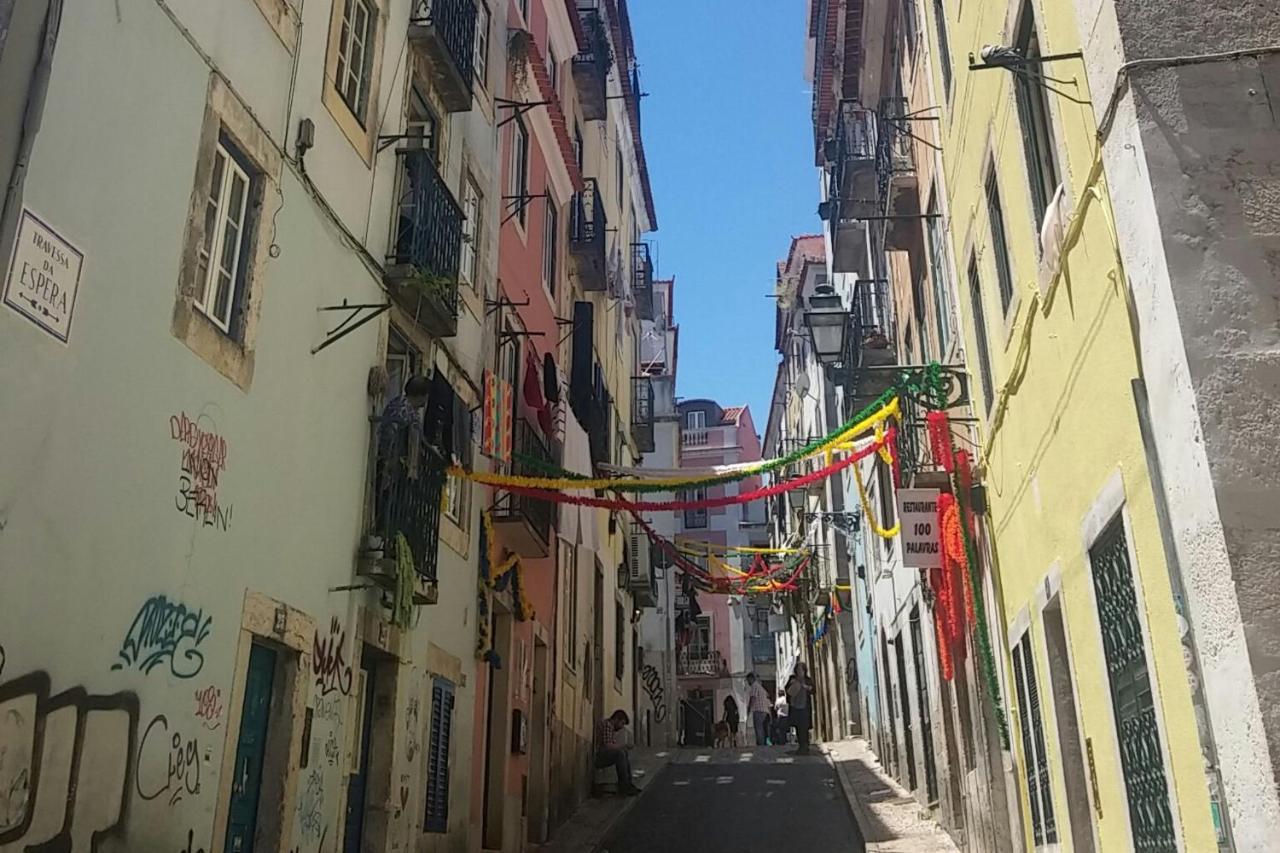 Amazing Camões - Chiado, Lisboa